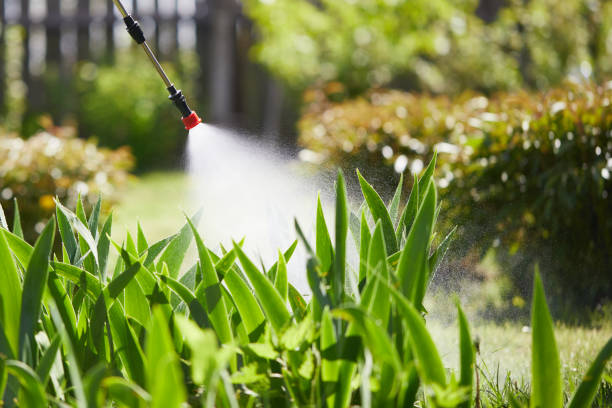 24/7 Emergency Fumigation Services experts in Liberty, PA