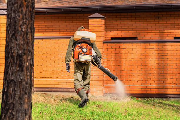 Trusted Cockroach Control service in Liberty, PA - Nex Pest Control